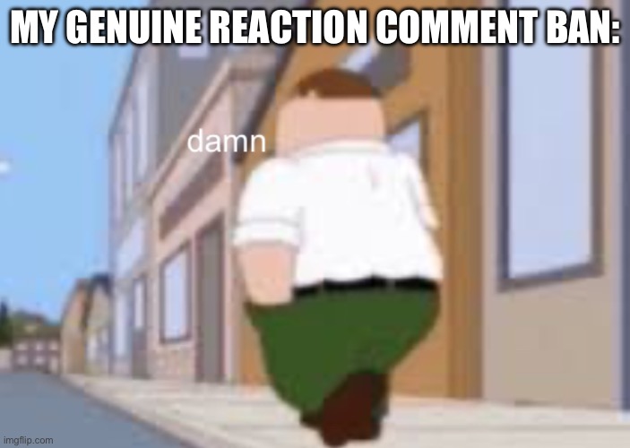 I dont care | MY GENUINE REACTION COMMENT BAN: | image tagged in damn | made w/ Imgflip meme maker