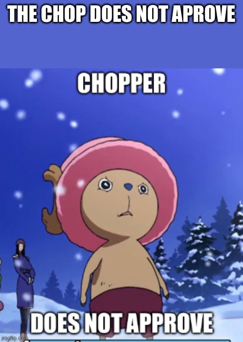 THE CHOP DOES NOT APROVE | image tagged in funny,anime | made w/ Imgflip meme maker