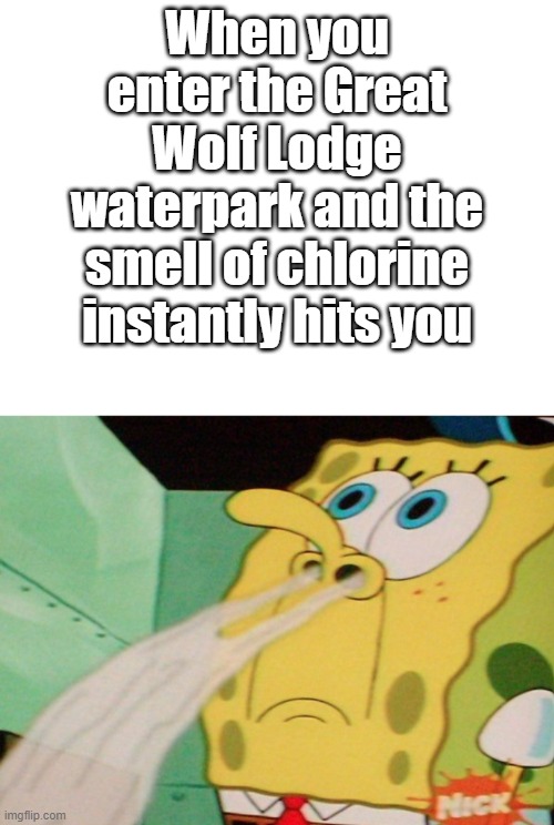 Can't beat that classic waterpark smell | When you enter the Great Wolf Lodge waterpark and the smell of chlorine instantly hits you | image tagged in funny,memes,relatable memes,spongebob,water park,great wolf lodge | made w/ Imgflip meme maker