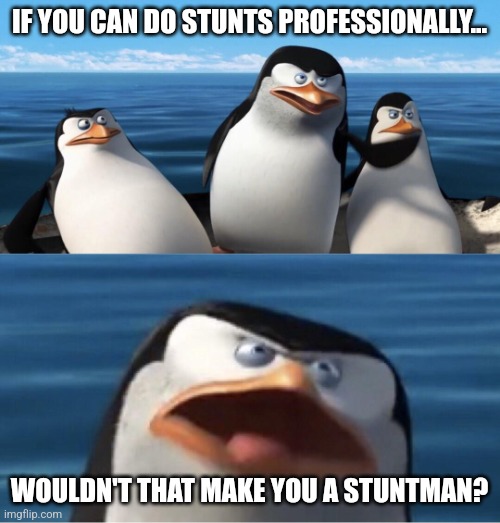 A stuntman | IF YOU CAN DO STUNTS PROFESSIONALLY... WOULDN'T THAT MAKE YOU A STUNTMAN? | image tagged in wouldn't that make you,jpfan102504 | made w/ Imgflip meme maker