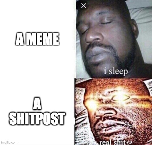 i sleep real shit | A MEME; A SHITPOST | image tagged in i sleep real shit | made w/ Imgflip meme maker