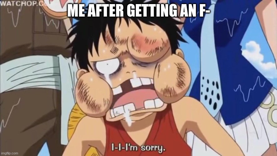 Luffy Beaten up | ME AFTER GETTING AN F- | image tagged in luffy beaten up,luffy | made w/ Imgflip meme maker