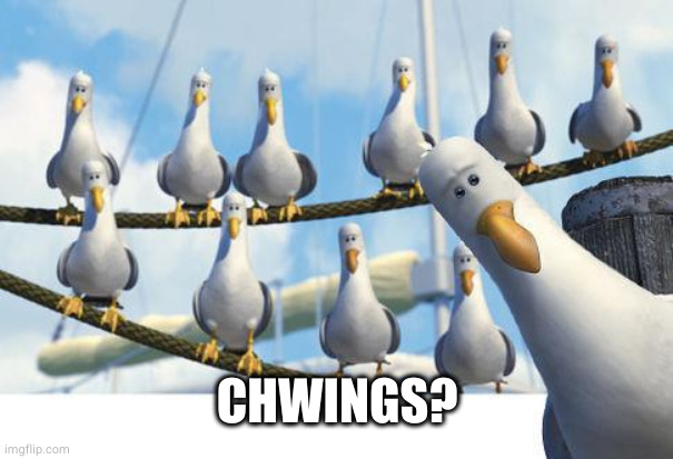 Gulls | CHWINGS? | image tagged in gulls | made w/ Imgflip meme maker