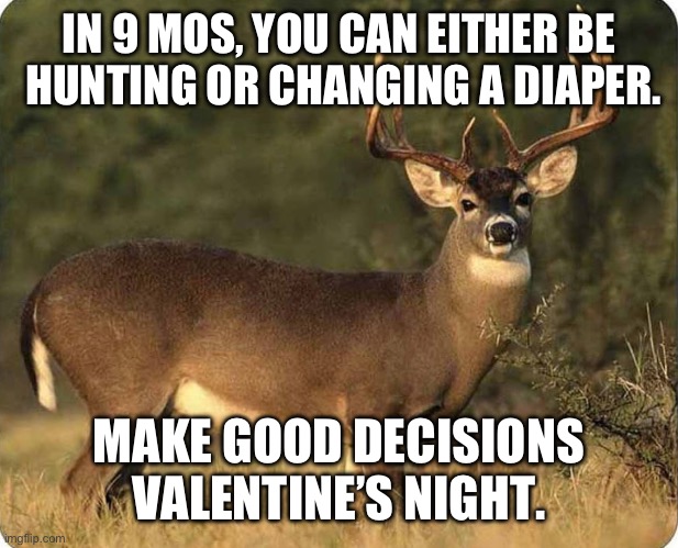 Deer Valentine | IN 9 MOS, YOU CAN EITHER BE  HUNTING OR CHANGING A DIAPER. MAKE GOOD DECISIONS VALENTINE’S NIGHT. | image tagged in deer,hunting | made w/ Imgflip meme maker