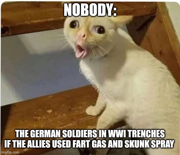 The stinkiest Battle of WWI | NOBODY:; THE GERMAN SOLDIERS IN WWI TRENCHES IF THE ALLIES USED FART GAS AND SKUNK SPRAY | image tagged in cat smells fart,history,jpfan102504 | made w/ Imgflip meme maker