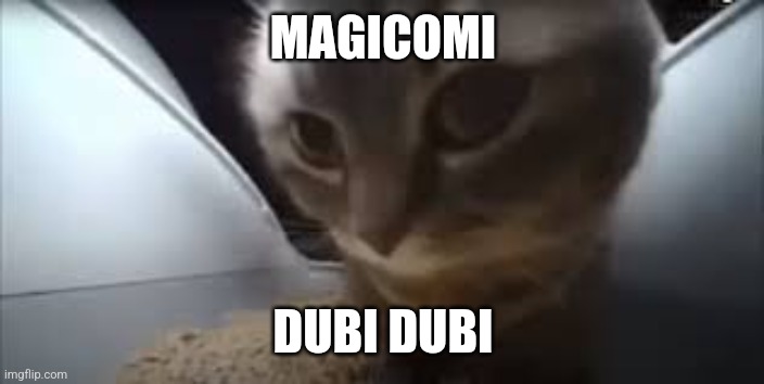 Dubidubidu Cat | MAGICOMI; DUBI DUBI | image tagged in dubidubidu cat | made w/ Imgflip meme maker