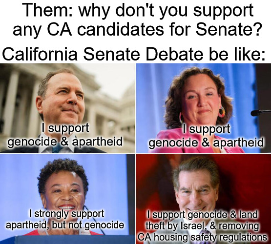 Them: why don't you support any CA candidates for Senate? California Senate Debate be like:; I support genocide & apartheid; I support genocide & apartheid; I strongly support apartheid, but not genocide; I support genocide & land theft by Israel, & removing CA housing safety regulations | image tagged in california,senate,debate,democrats,republicans | made w/ Imgflip meme maker