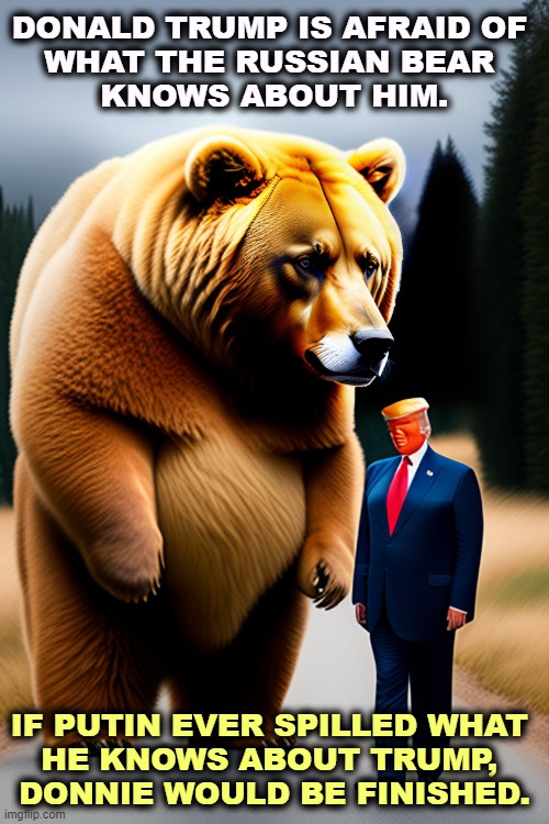 What if Epstein wasn't the whole story? | DONALD TRUMP IS AFRAID OF 
WHAT THE RUSSIAN BEAR 
KNOWS ABOUT HIM. IF PUTIN EVER SPILLED WHAT 
HE KNOWS ABOUT TRUMP, 
DONNIE WOULD BE FINISHED. | image tagged in trump is afraid of what the russia bear knows about him - putin,russia,putin,trump,blackmail,kgb | made w/ Imgflip meme maker