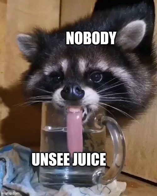 I love unsee juice | NOBODY; UNSEE JUICE | image tagged in raccoon drinks water,unsee juice,jpfan102504 | made w/ Imgflip meme maker