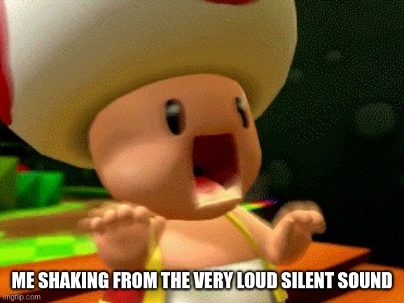 Toad Screaming | ME SHAKING FROM THE VERY LOUD SILENT SOUND | image tagged in toad screaming | made w/ Imgflip meme maker