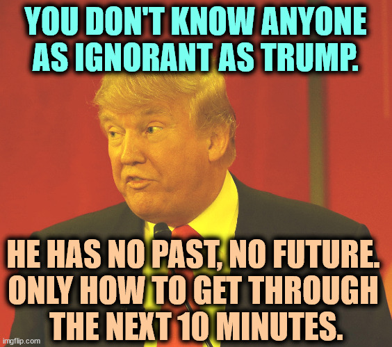 Passing through Hawaii, he didn't know what Pearl Harbor was. | YOU DON'T KNOW ANYONE AS IGNORANT AS TRUMP. HE HAS NO PAST, NO FUTURE. 
ONLY HOW TO GET THROUGH 
THE NEXT 10 MINUTES. | image tagged in trump goony stupid silly,trump,mental illness,ignorant,narcissist | made w/ Imgflip meme maker