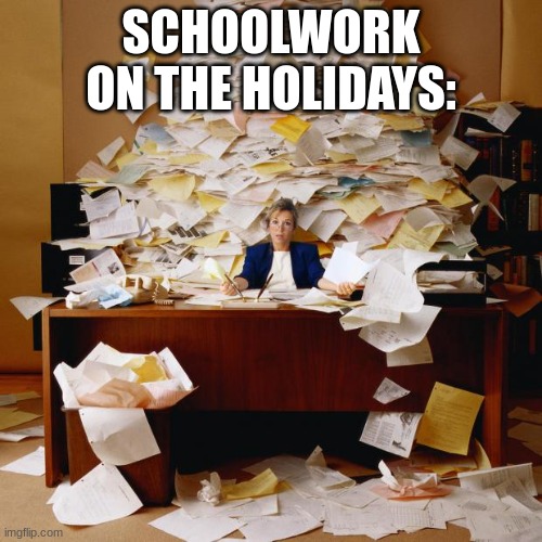 Busy | SCHOOLWORK ON THE HOLIDAYS: | image tagged in busy | made w/ Imgflip meme maker