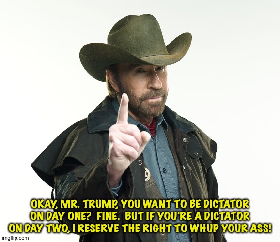 Advice from Mr. Norris | OKAY, MR. TRUMP, YOU WANT TO BE DICTATOR ON DAY ONE?  FINE.  BUT IF YOU'RE A DICTATOR ON DAY TWO, I RESERVE THE RIGHT TO WHUP YOUR ASS! | image tagged in chuck norris | made w/ Imgflip meme maker