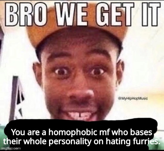 Bro we get it (blank) | You are a homophobic mf who bases their whole personality on hating furries. | image tagged in bro we get it blank | made w/ Imgflip meme maker