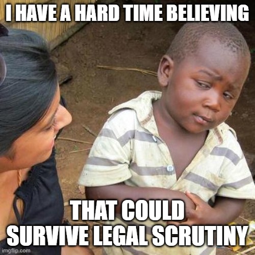 Third World Skeptical Kid Meme | I HAVE A HARD TIME BELIEVING THAT COULD SURVIVE LEGAL SCRUTINY | image tagged in memes,third world skeptical kid | made w/ Imgflip meme maker