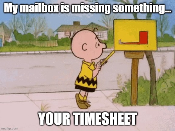 Timesheet not in mailbox | My mailbox is missing something... YOUR TIMESHEET | image tagged in charlie brown mailbox,timesheet reminder,missing time | made w/ Imgflip meme maker