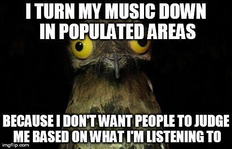 Weird Stuff I Do Potoo Meme | I TURN MY MUSIC DOWN IN POPULATED AREAS BECAUSE I DON'T WANT PEOPLE TO JUDGE ME BASED ON WHAT I'M LISTENING TO | image tagged in memes,weird stuff i do potoo,AdviceAnimals | made w/ Imgflip meme maker