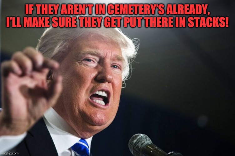 donald trump | IF THEY AREN’T IN CEMETERY’S ALREADY, I’LL MAKE SURE THEY GET PUT THERE IN STACKS! | image tagged in donald trump | made w/ Imgflip meme maker