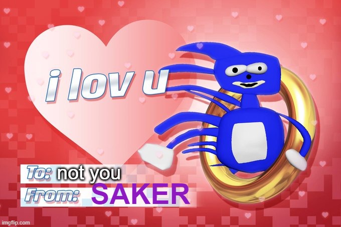 not you; SAKER | made w/ Imgflip meme maker