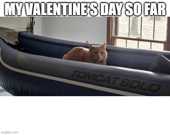 Make your own meme | MY VALENTINE'S DAY SO FAR | image tagged in make your own meme | made w/ Imgflip meme maker