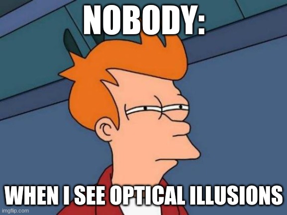 optical illusions | NOBODY:; WHEN I SEE OPTICAL ILLUSIONS | image tagged in memes,futurama fry,jpfan102504 | made w/ Imgflip meme maker