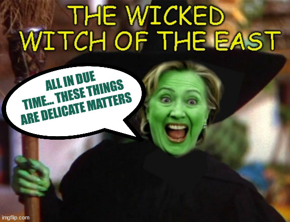 Witch Hillary | ALL IN DUE TIME... THESE THINGS ARE DELICATE MATTERS | image tagged in witch hillary | made w/ Imgflip meme maker