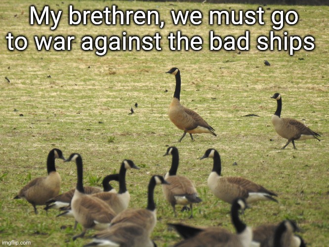 Dusky Canada Goose | My brethren, we must go to war against the bad ships | image tagged in dusky canada goose | made w/ Imgflip meme maker