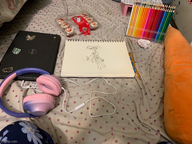 Rate the set up | image tagged in i usually bring markers,when coloring | made w/ Imgflip meme maker