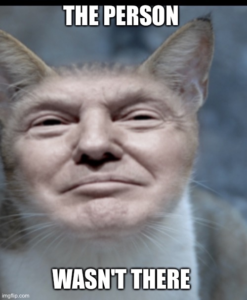 At school | THE PERSON; WASN'T THERE | image tagged in donald trump cat | made w/ Imgflip meme maker