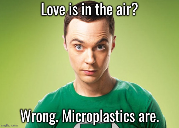 Sheldon Cooper | Love is in the air? Wrong. Microplastics are. | image tagged in sheldon cooper | made w/ Imgflip meme maker