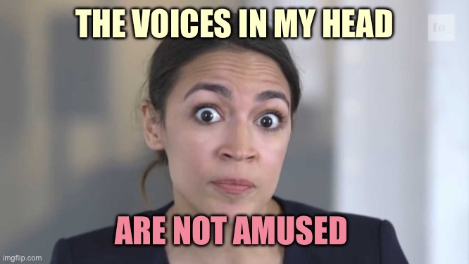 Crazy Alexandria Ocasio-Cortez | THE VOICES IN MY HEAD ARE NOT AMUSED | image tagged in crazy alexandria ocasio-cortez | made w/ Imgflip meme maker