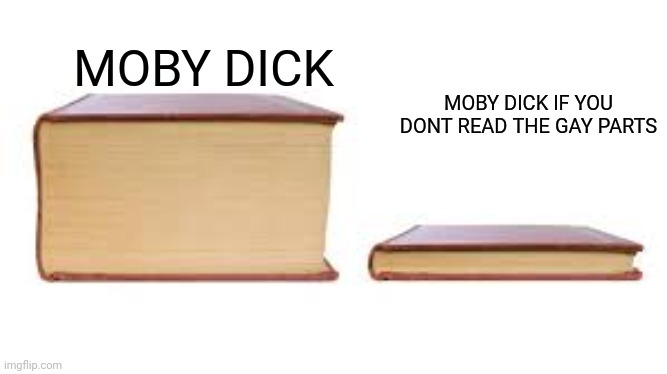 Big book small book | MOBY DICK IF YOU DONT READ THE GAY PARTS; MOBY DICK | image tagged in big book small book | made w/ Imgflip meme maker