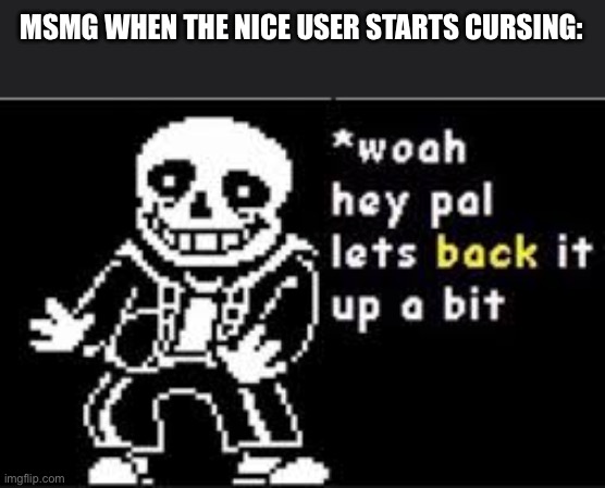 Shit got real | MSMG WHEN THE NICE USER STARTS CURSING: | image tagged in woah hey pal lets back it up a bit | made w/ Imgflip meme maker