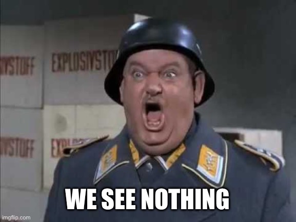 Sgt. Schultz shouting | WE SEE NOTHING | image tagged in sgt schultz shouting | made w/ Imgflip meme maker