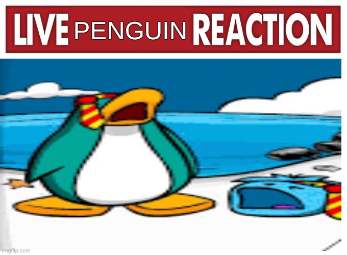 Live reaction | PENGUIN | image tagged in live reaction | made w/ Imgflip meme maker
