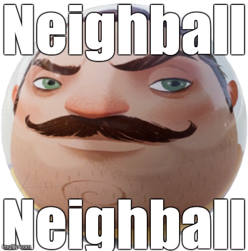 Neighball | Neighball Neighball | image tagged in neighball | made w/ Imgflip meme maker