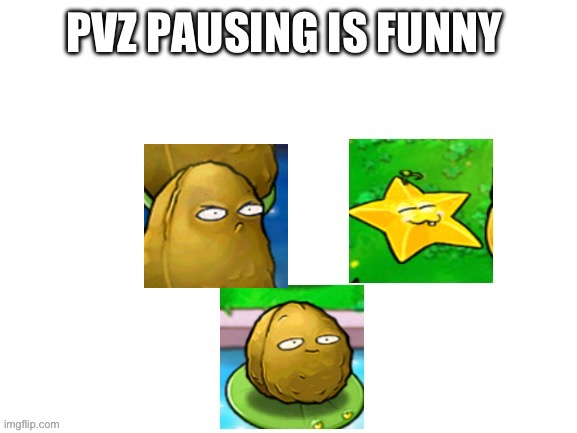 I reposted it | made w/ Imgflip meme maker