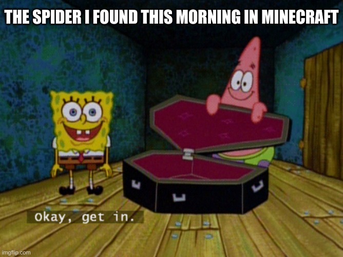 Ok Get In! | THE SPIDER I FOUND THIS MORNING IN MINECRAFT | image tagged in ok get in | made w/ Imgflip meme maker
