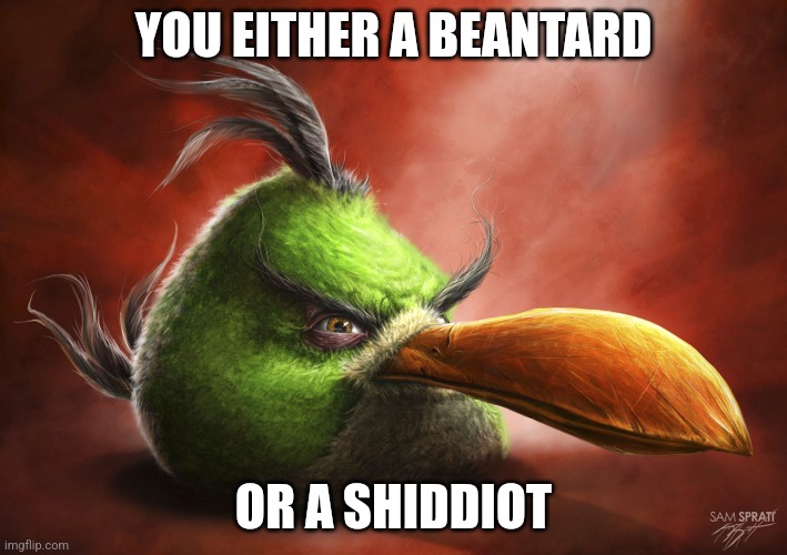 Realistic Angry Bird | YOU EITHER A BEANTARD; OR A SHIDDIOT | image tagged in realistic angry bird | made w/ Imgflip meme maker