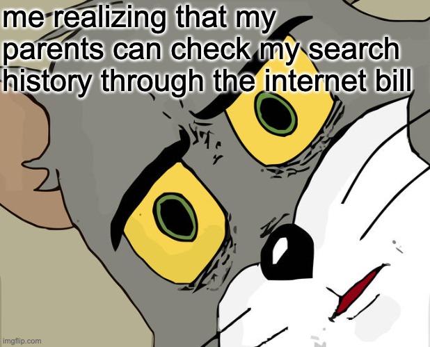 More memes | me realizing that my parents can check my search history through the internet bill | image tagged in unsettled tom | made w/ Imgflip meme maker