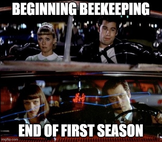 First year of beekeeping | BEGINNING BEEKEEPING; END OF FIRST SEASON | image tagged in john travolta in grease and pulp fiction | made w/ Imgflip meme maker