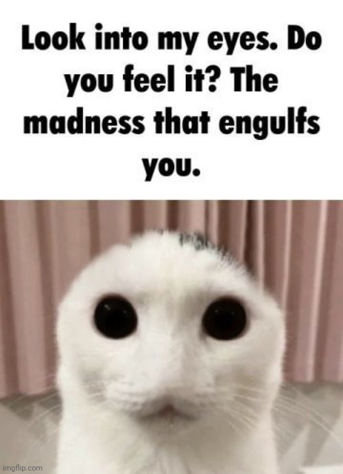 Do you feel it | made w/ Imgflip meme maker