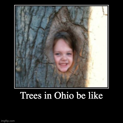 Trees in Ohio be like | | image tagged in funny,demotivationals | made w/ Imgflip demotivational maker
