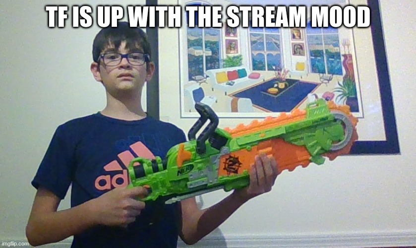 soda irl | TF IS UP WITH THE STREAM MOOD | image tagged in soda irl | made w/ Imgflip meme maker