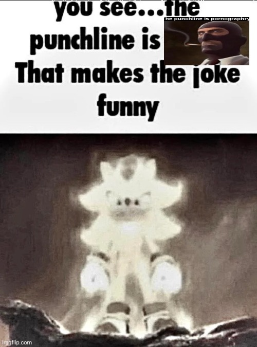 Shadow explains the joke | image tagged in shadow explains the joke | made w/ Imgflip meme maker