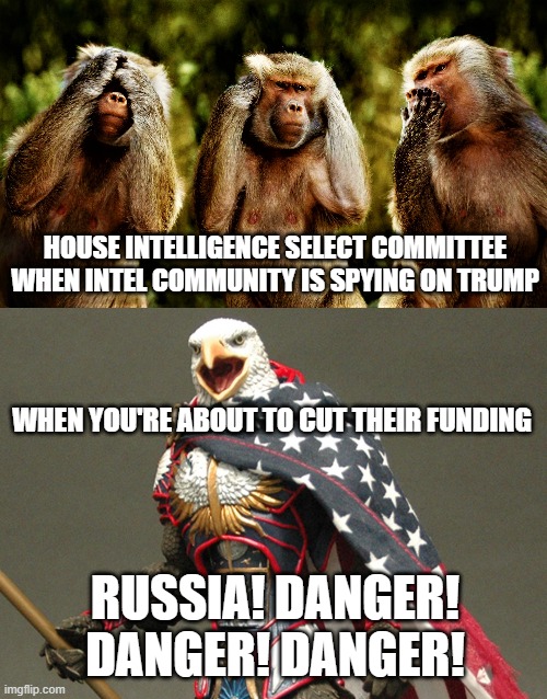 never there when you need them | HOUSE INTELLIGENCE SELECT COMMITTEE WHEN INTEL COMMUNITY IS SPYING ON TRUMP; WHEN YOU'RE ABOUT TO CUT THEIR FUNDING; RUSSIA! DANGER! DANGER! DANGER! | image tagged in monkey version of see no evil hear no evil speak no evil,patriotic defender eagle of america | made w/ Imgflip meme maker