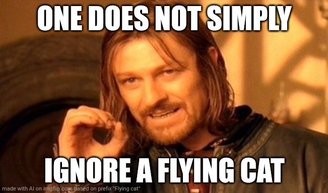 Flying ? | ONE DOES NOT SIMPLY; IGNORE A FLYING CAT | image tagged in memes,one does not simply | made w/ Imgflip meme maker