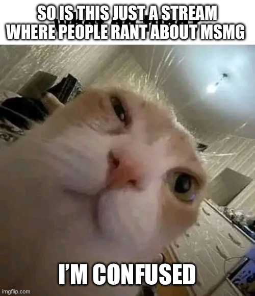 goon | SO IS THIS JUST A STREAM WHERE PEOPLE RANT ABOUT MSMG; I’M CONFUSED | image tagged in what da tuna | made w/ Imgflip meme maker