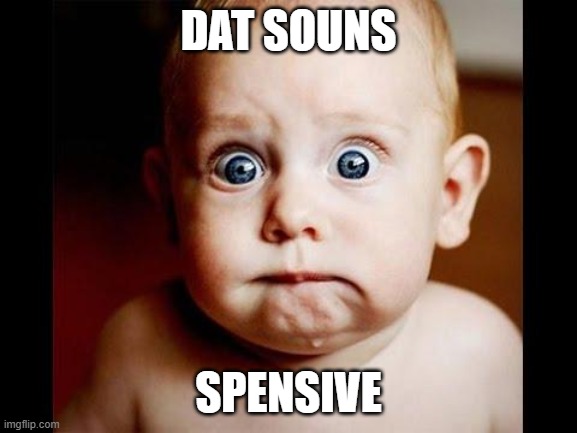 Frightened baby | DAT SOUNS SPENSIVE | image tagged in frightened baby | made w/ Imgflip meme maker