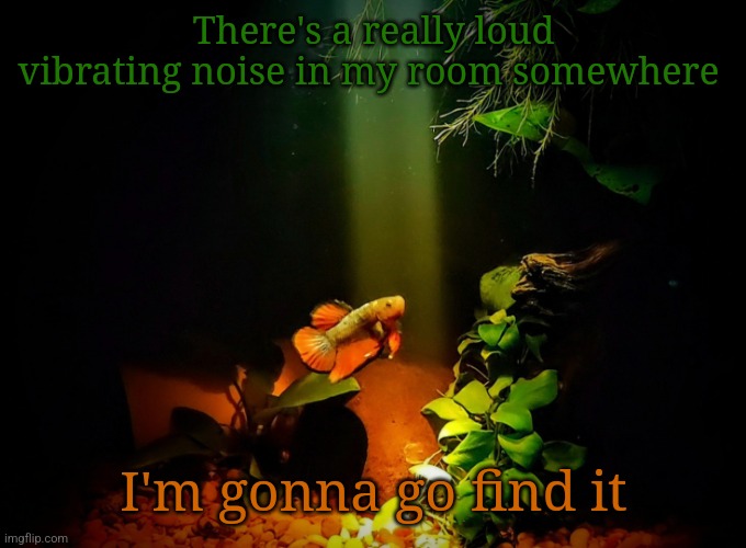 Betta van fleet | There's a really loud vibrating noise in my room somewhere; I'm gonna go find it | image tagged in betta van fleet | made w/ Imgflip meme maker